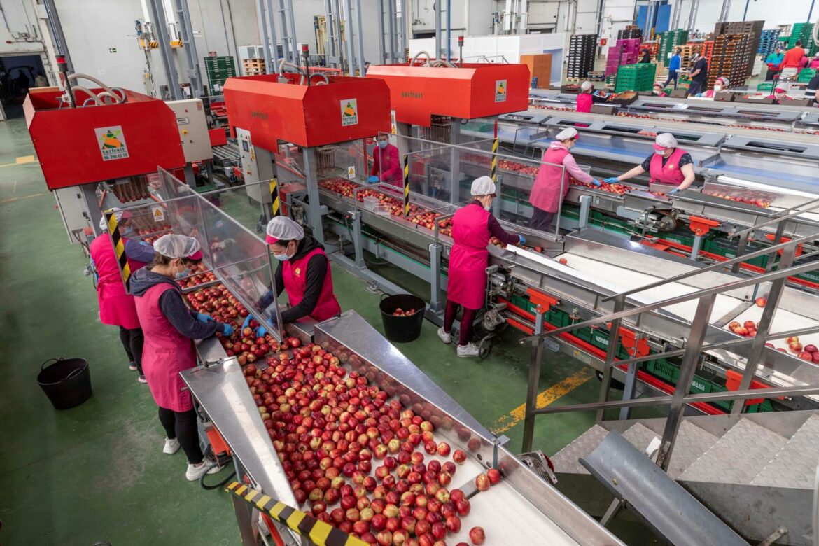 La industria alimentaria de la Región de Murcia aumenta su inversión un 25%, solo por debajo de Cataluña y Navarra