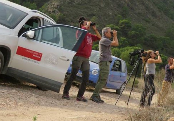 Jornada de avistamiento de aves en la finca Catillo de Chuecos, de Águilas.