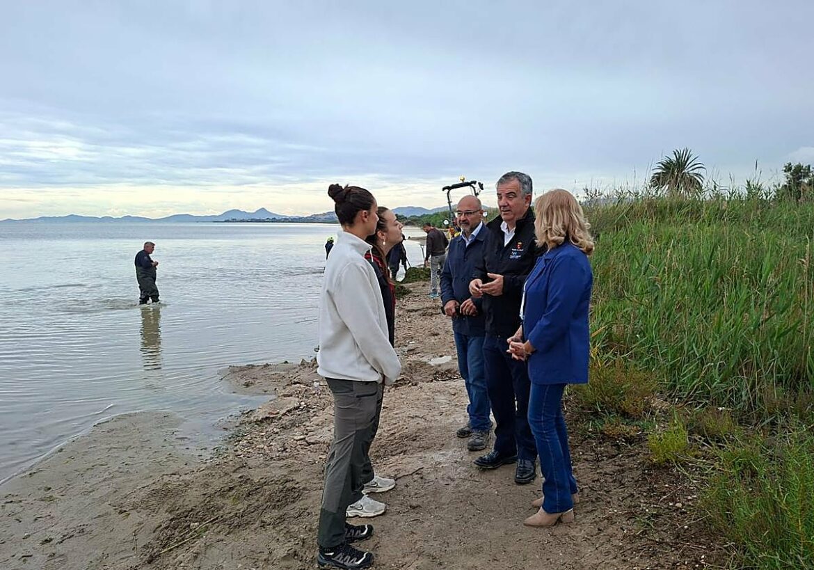 El Gobierno regional refuerza la retirada de biomasa tras las fuertes lluvias en el entorno del Mar Menor