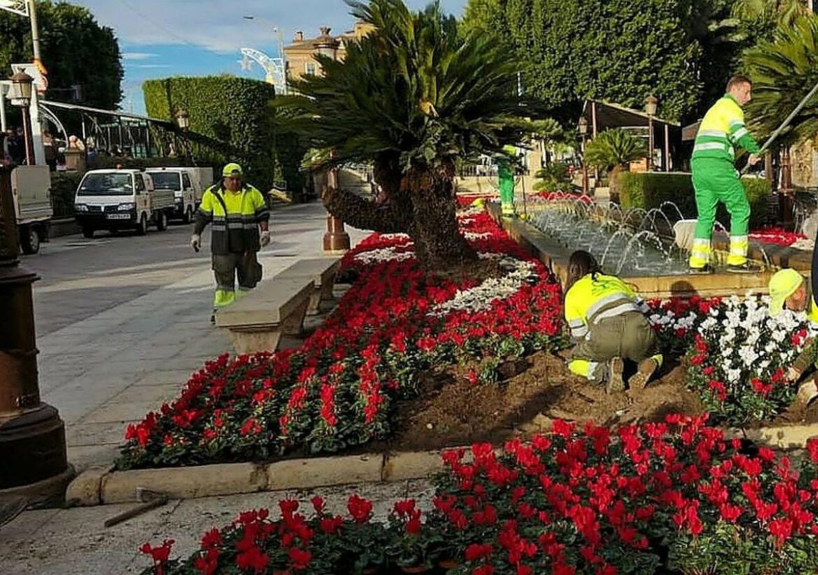 El PSOE denuncia que el Ayuntamiento de Murcia gastó en 2025 más de un millón de euros en flores, «más de la mitad sin contrato»