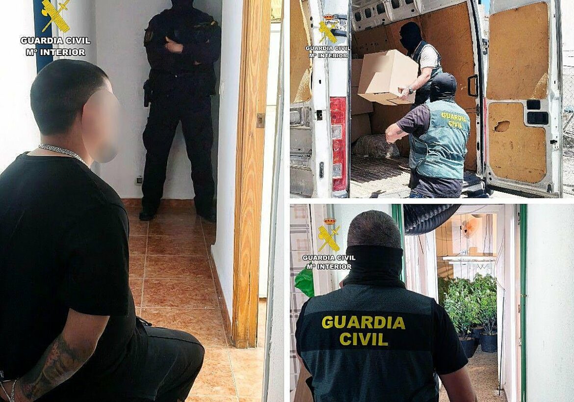 Una decena de detenidos en el golpe a un clan dedicado a la venta de marihuana en Alguazas y Ceutí