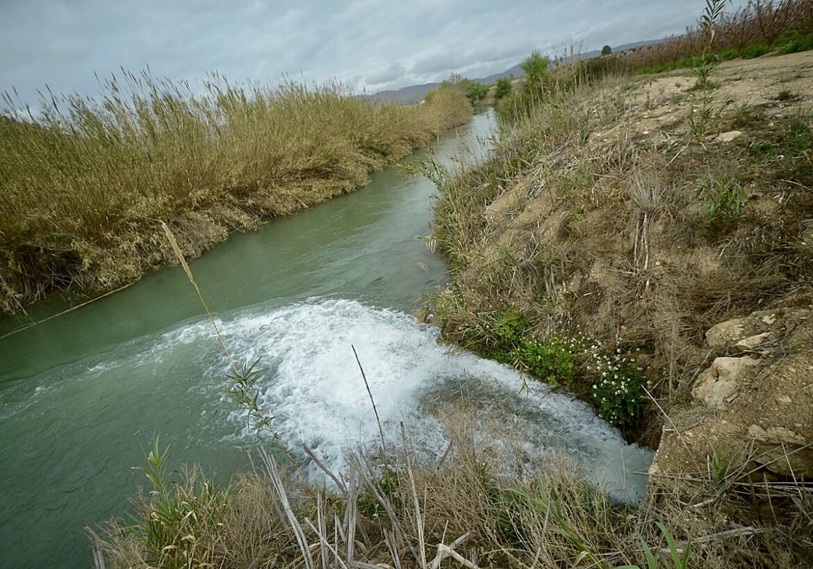 Las futuras sequías en el Segura forzarán a los municipios a un mayor ahorro de agua
