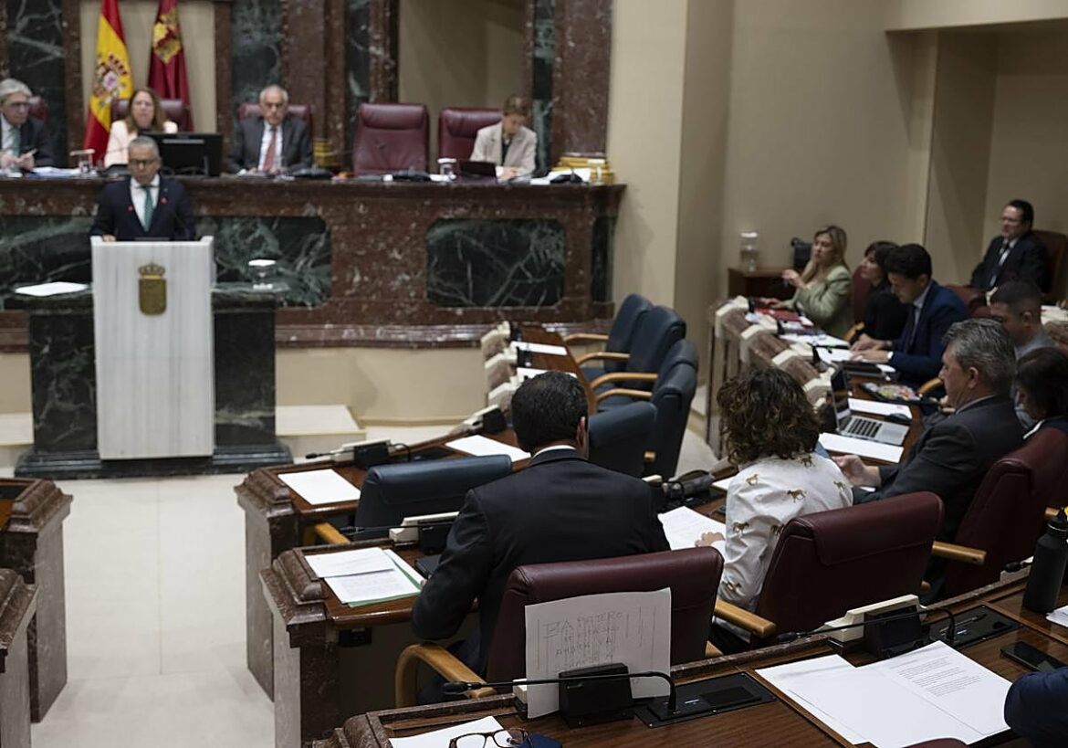 La Asamblea exige un examen a fondo del carguero ruso ‘Ursa Major’