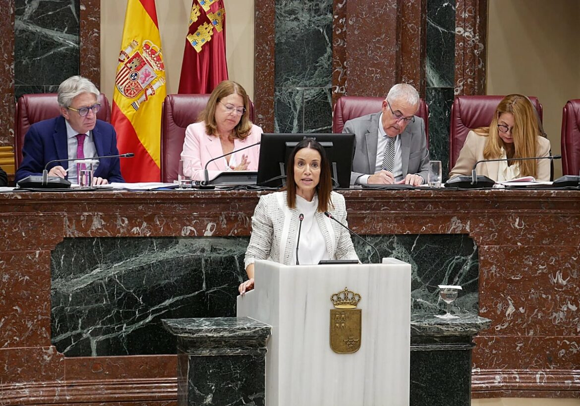 Ayala tendrá que comparecer en la comisión de investigación sobre derivaciones a la sanidad privada