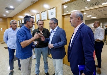 El control de la clorosis se complica por la llegada de más limoneros infectados a la Región