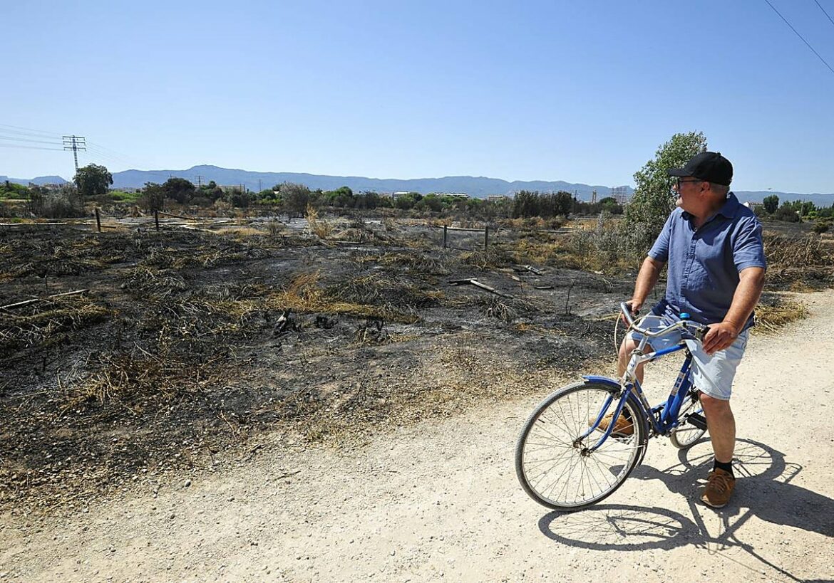 Cenizas y vegetación arrasada junto a la mota del río en Murcia: el incendio del sábado aviva las quejas vecinales