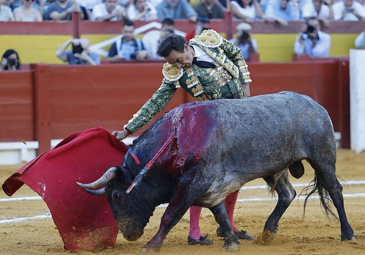 Puerta grande para el toreo de calidad El Cid y la entrega de Escribano con una magnífica corrida de Victorino
