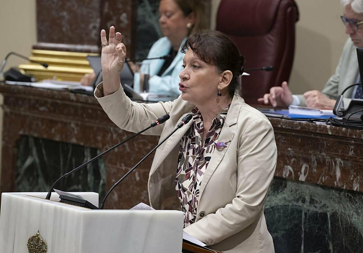 Marín (Podemos): «La UDEF va a terminar llamando a la puerta de Miras»