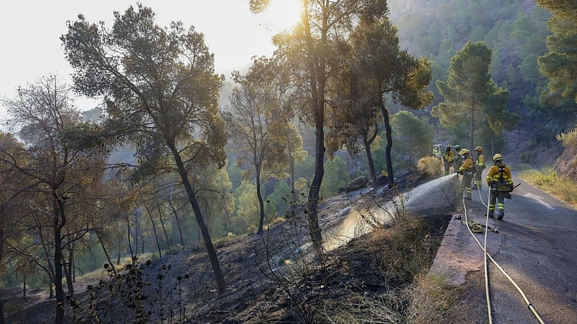 El ‘desplome’ de una nube de cenizas y gases expandió el incendio de la Cresta del Gallo de Murcia