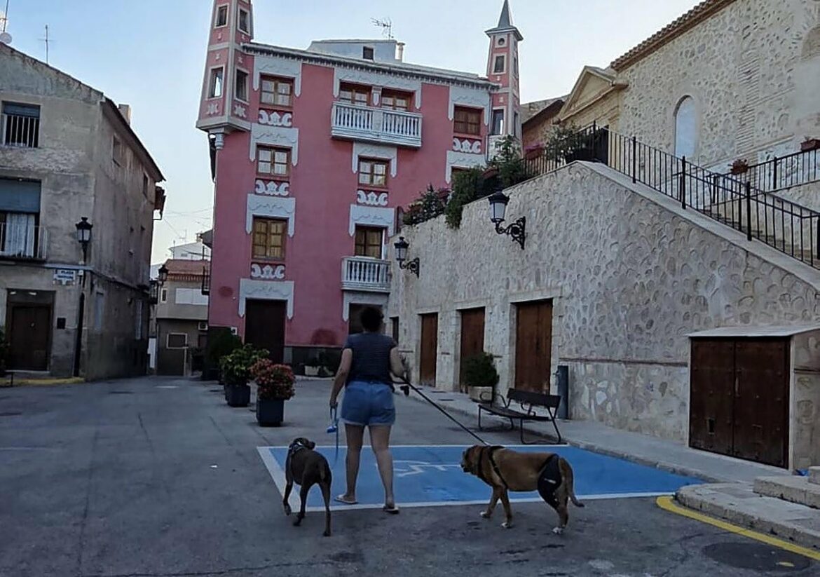 Orden contra los orines de perros y gatos en Ulea
