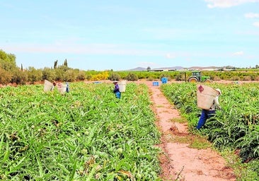 La CHS da carpetazo a las concesiones de riego caducadas en la cuenca del Segura