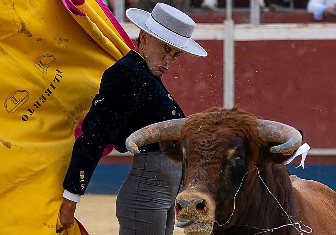 Pinar, Filiberto y Aparicio triunfan en Valentín