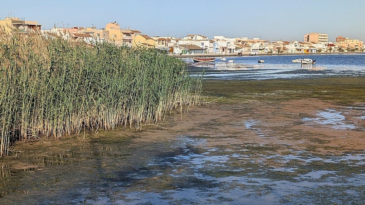 El Mar Menor, diez años después de la ‘sopa verde’