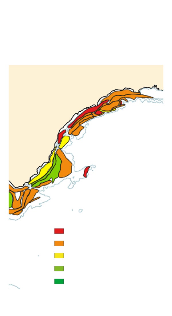 La mejora de los caladeros empuja a Europa a flexibilizar su política pesquera en el Mediterráneo