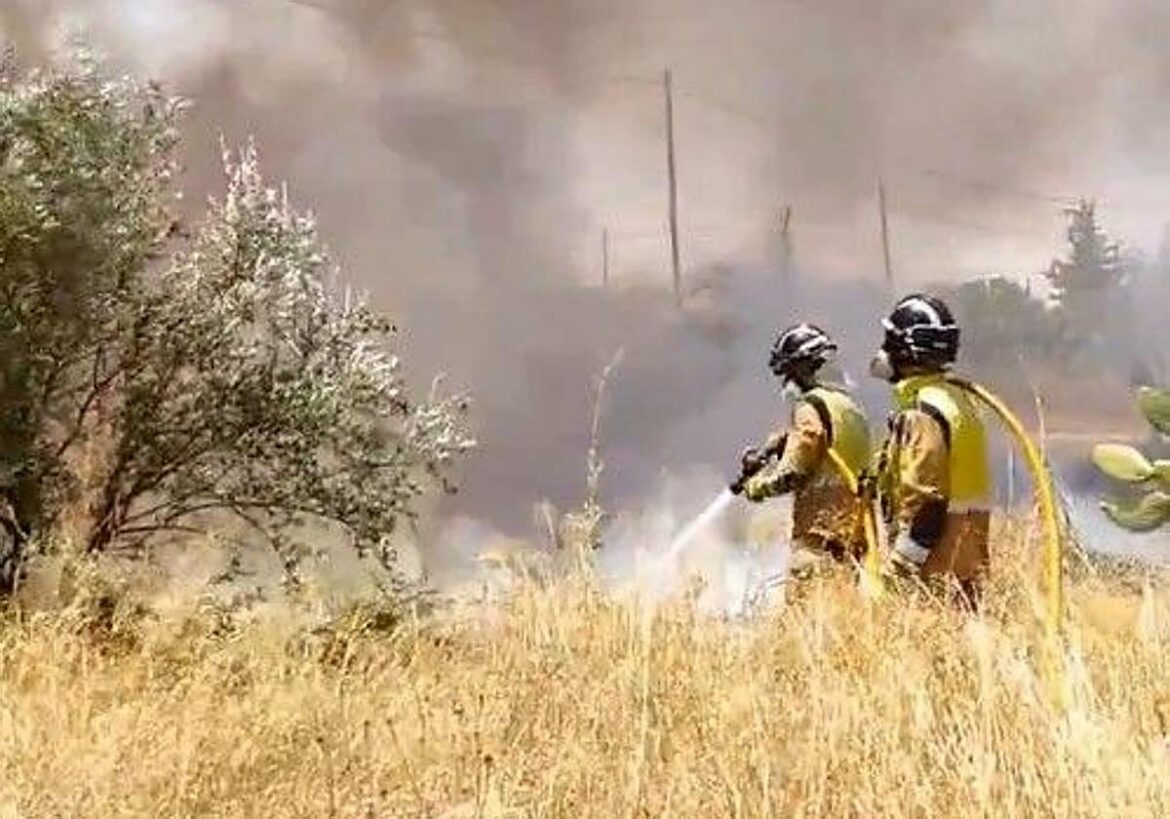 Un incendio arrasa 46.000 metros cuadrados de matorral en la pedanía murciana de Cabezo de Torres