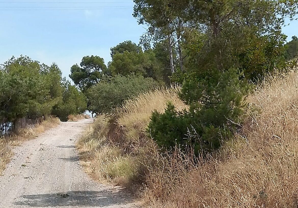 Vecinos de Torreagüera y La Alberca protestan este jueves para pedir más protección ante los incendios forestales