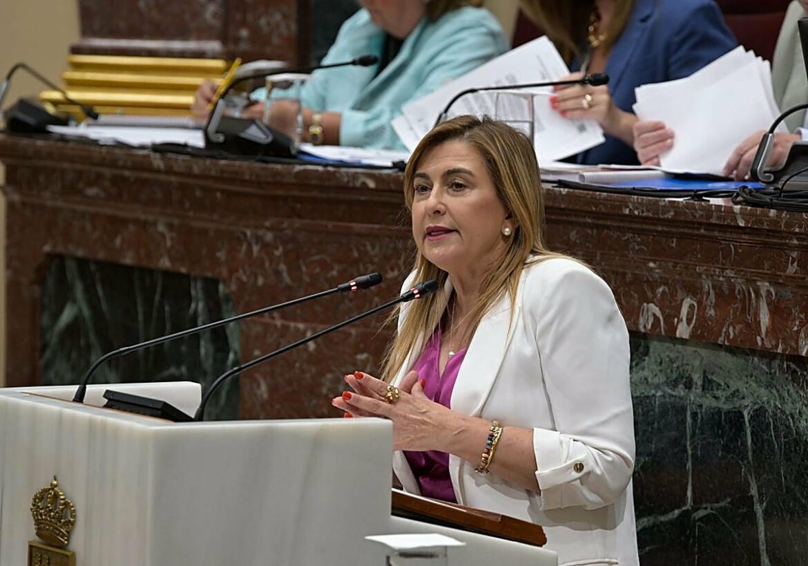 Fernández (PSOE): «La responsabilidad por las prótesis no acaba en Ayala, sino que llega directamente a Miras»