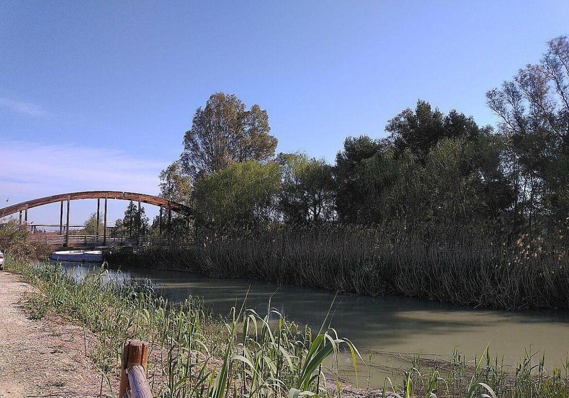 Tres planes imprescindibles en la huerta de Murcia para hacer una escapada durante el fin de semana