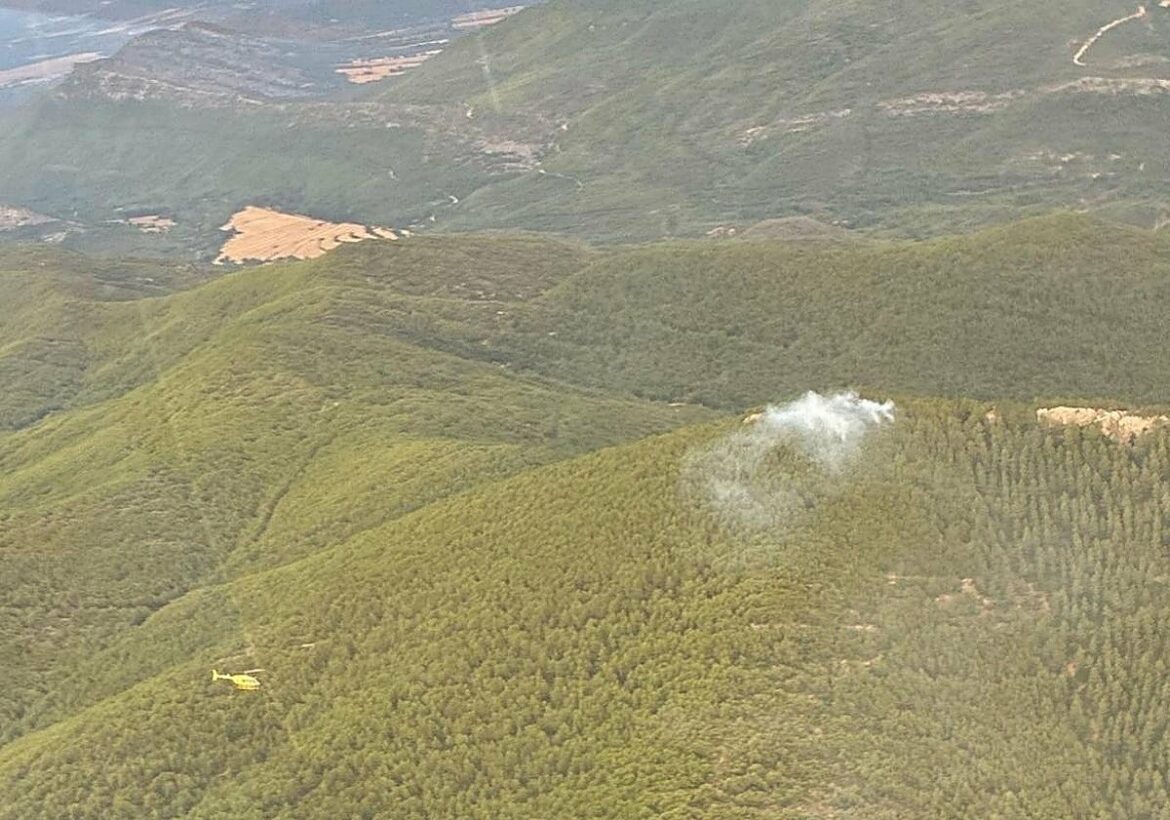 Un incendio forestal moviliza a los bomberos en Moratalla