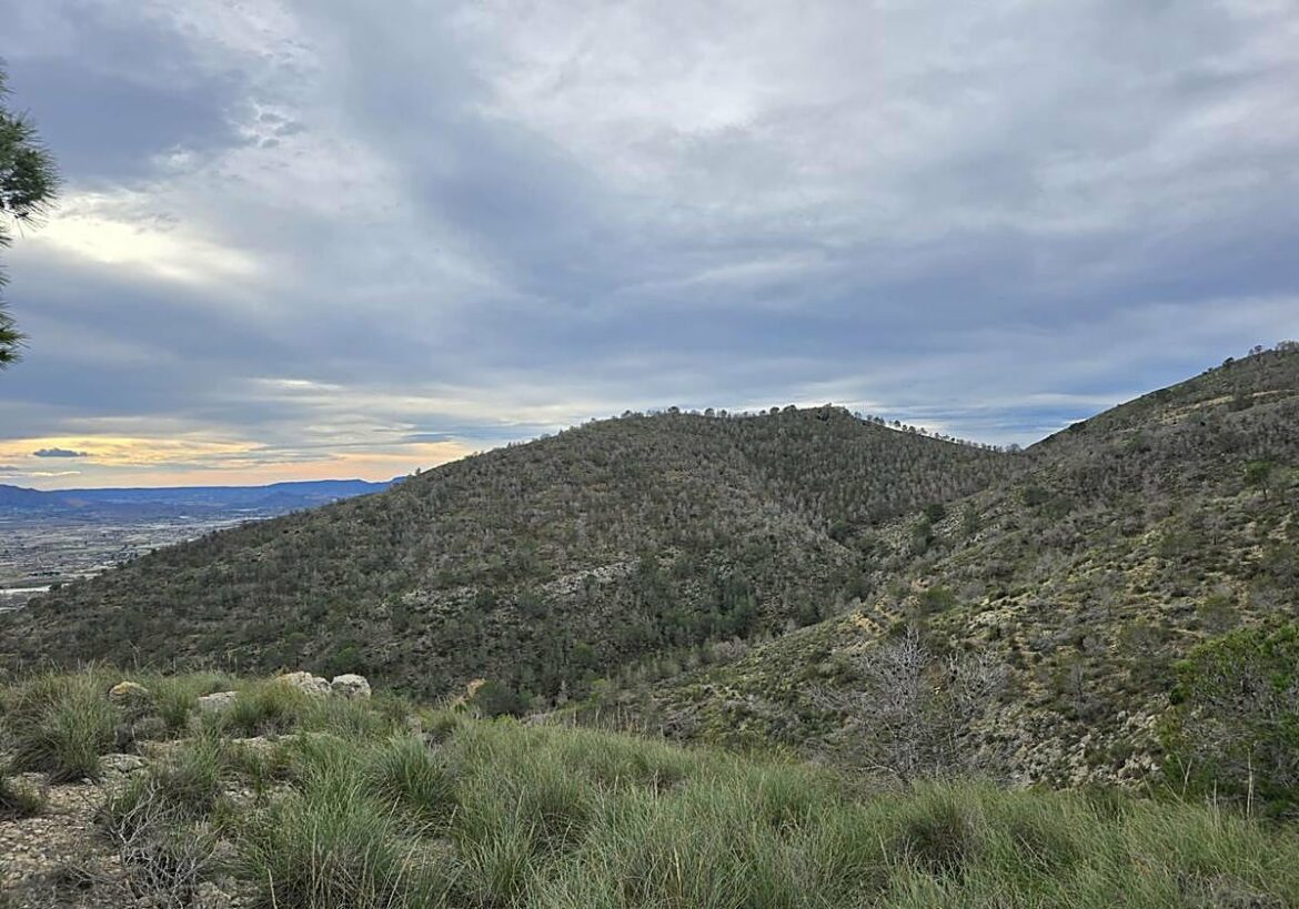 La Comunidad culmina en Fortuna actuaciones forestales por más de 335.000 euros para reforzar la protección de los montes