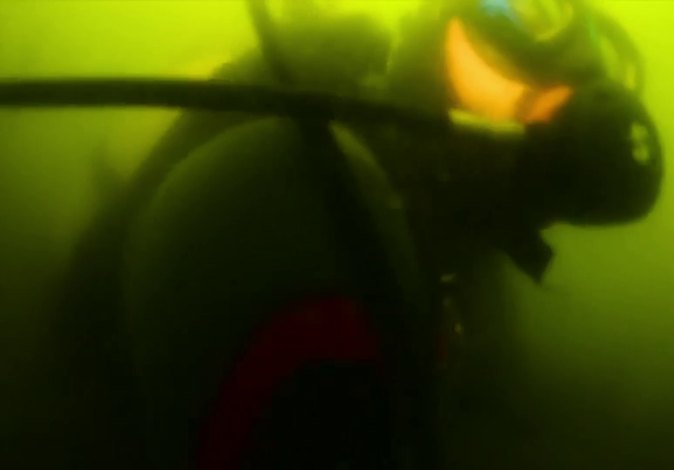 Una década de la sopa verde que viralizó el Mar Menor