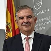 Imagen - Vázquez cree que «minimizar el efecto» del acuífero en El Albujón «no contribuye a la recuperación del Mar Menor»