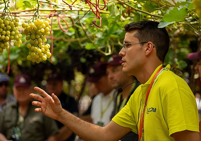 El poder de la fruta: salud, nutrición y sostenibilidad en cada bocado
