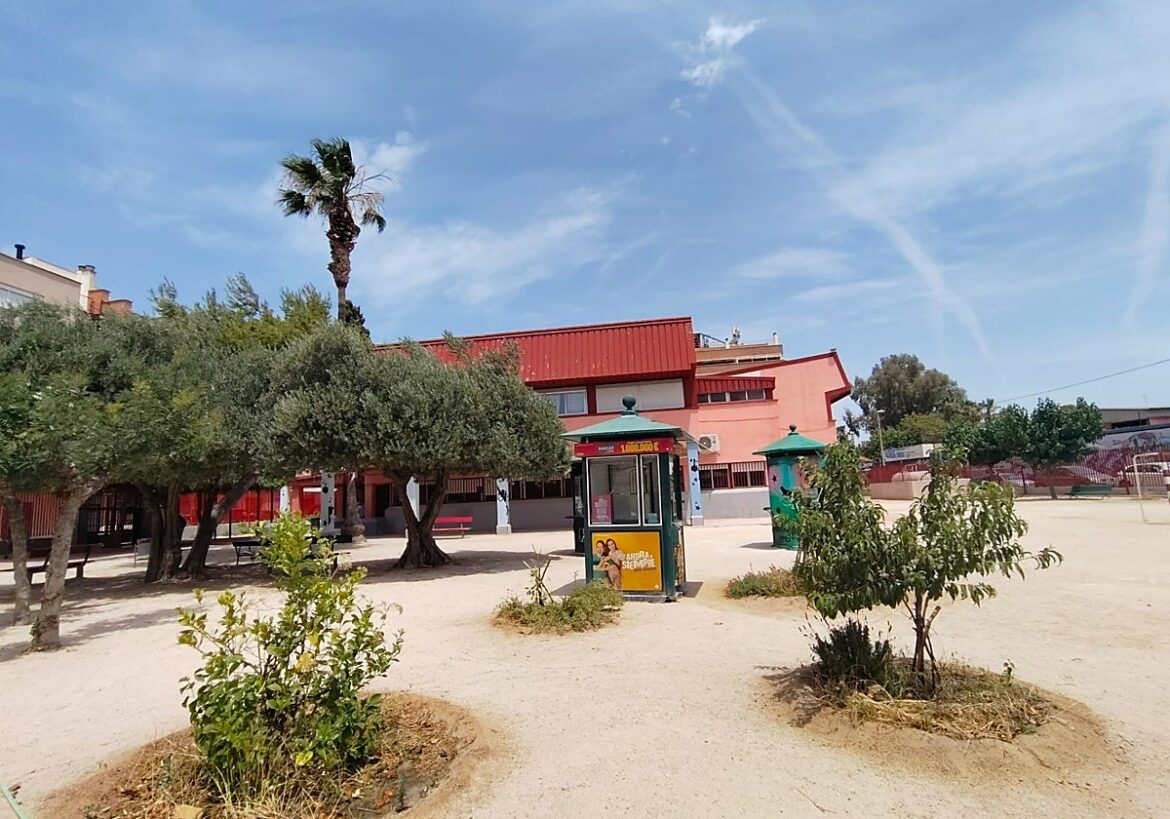 El CEIP San Pío X de Murcia convierte su patio en un oasis autóctono: «Los niños han recibido el proyecto con mucha ilusión»